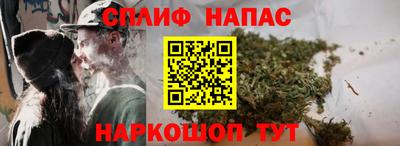 стафф Будённовск