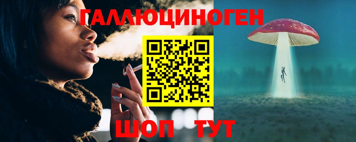 Реутов  Галлюциногенные грибы Psilocybe  Вход с VPN  Псилоцибиновые грибы Psilocybe 